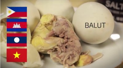 ベトナム：孵化したアヒルの卵