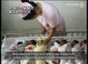 中国の欠陥嬰児　毎年約９０万人