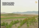 【禁聞】深刻化する土壌汚染　失われつつある耕地