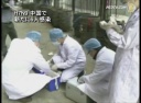 H7N9 中国で新たに６人感染