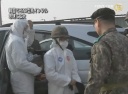 韓国でH5N8型鳥インフル 急速に拡大