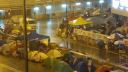 大雨の中 1691張のテントが香港の占拠区を守る