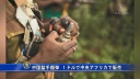 中国製手榴弾 １ドルで中央アフリカで販売