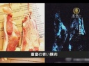 【中国１分間】重慶の青い豚肉