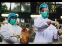 北京でH7N9鳥インフルエンザの今年最初の感染例発見