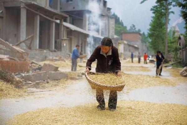 中国食糧生産に隠された課題（１）