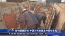 動物愛護団体 中国の犬皮産業の闇を暴露