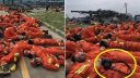 江蘇省洪水　救助隊員写真に「救助活動はショー」とネットで非難殺到