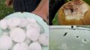 北京　アヒルの卵大の雹降る　「４０年ぶり」と農家驚く